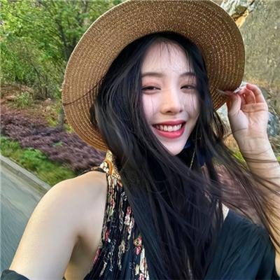 真假维梅尔 海报
