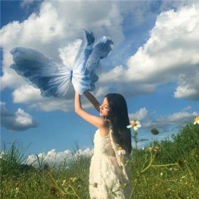 总裁不在人间在包间