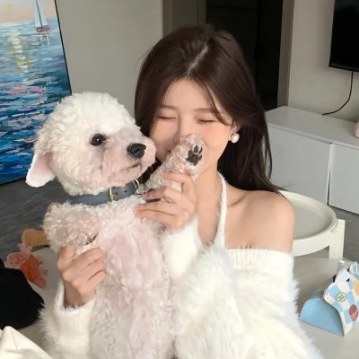 美人无泪 海报